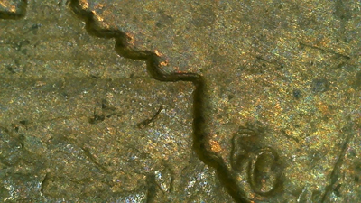 1969-D-Penny-DD-Or-Something-Else?